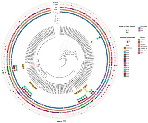 Molecular Epidemiological Characteristics of Staphylococcus ...