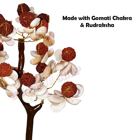 Gomati Chakra with Rudraksha Healing Kalpa Tree