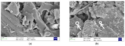 Experimental and Computational Study of Mechanical and Thermal ...
