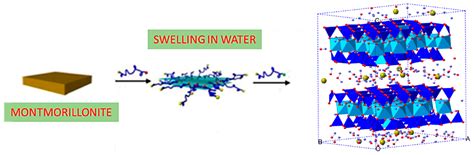 Self-Assembly Processes in Hydrated Montmorillonite by FTIR Investigations