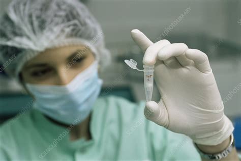 Forensic DNA Analysis Methods 的图像结果