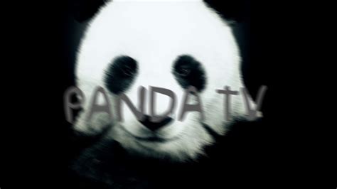 Image result for Panda Intro