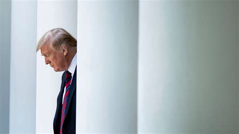 Donald Trump breaks silence on abortion laws