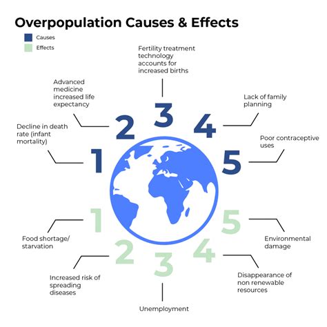 Causes And Consequencs