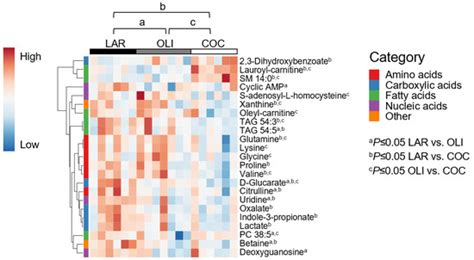 Olive- and Coconut-Oil-Enriched Diets Decreased Secondary Bile Acids ...
