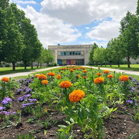 ROYAL SASKATCHEWAN MUSEUM (2026) All You Need to Know BEFORE You Go ...