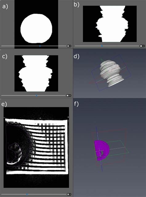 Image result for Amira Cell Segmentation Tutorial