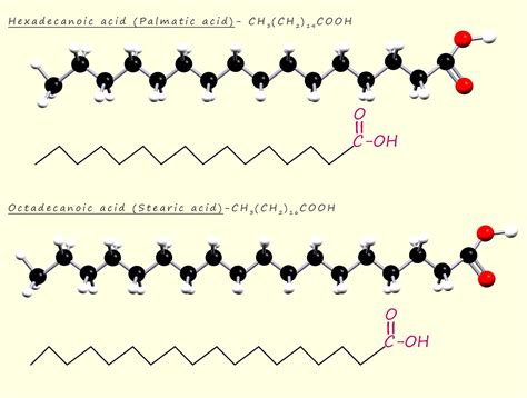 Fats and oils - structure of fatty acids