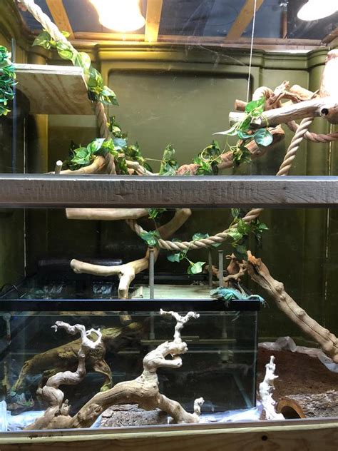 Python Aquarium System 的图像结果