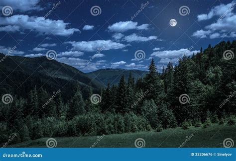Viktor_Pinkhasov just hours after trekking over the Carpathian mountains into Romania in December