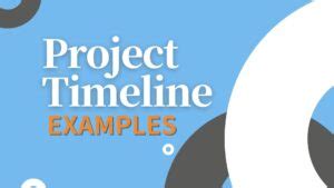 Project Management Timeline Examples 的图像结果