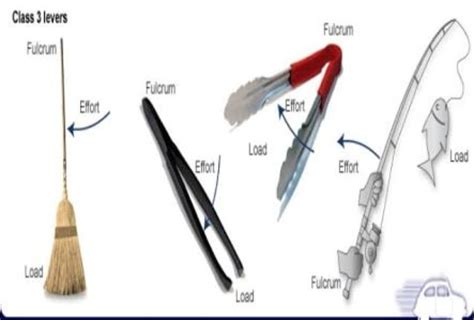 what is the third class lever - Brainly.in