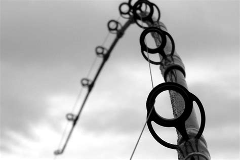 Alien Fish Catching 的图像结果