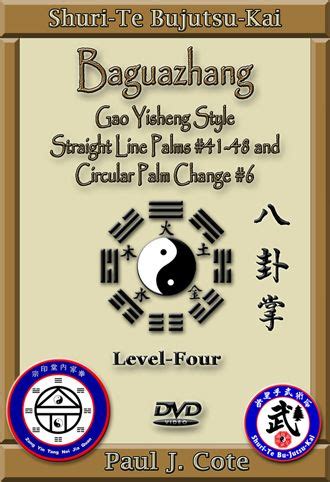 BAGUAZHANG Level-4, Straight Line Forms #41-48 and Circular Palm Change #6