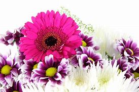 Image result for Purple Edged Blue Flowers