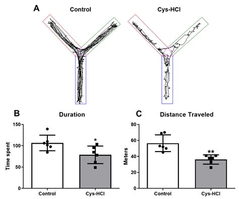 Cysteamine HCl Administration Impedes Motor and Olfactory Functions ...