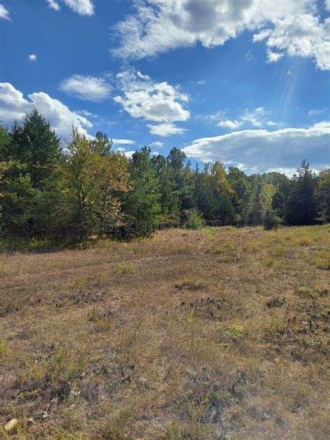 Open Field Building 的图像结果