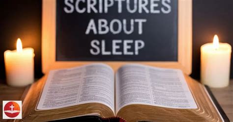 +Scriptures Fir Sleeping 的图像结果
