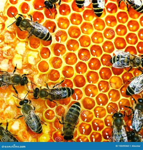 Image result for JavaScript Environment