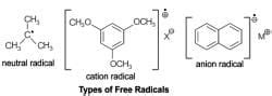 Free Radicals - Chemistry Optional Notes for UPSC PDF Download