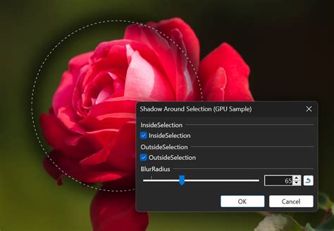 Image result for Examples of Paint Net