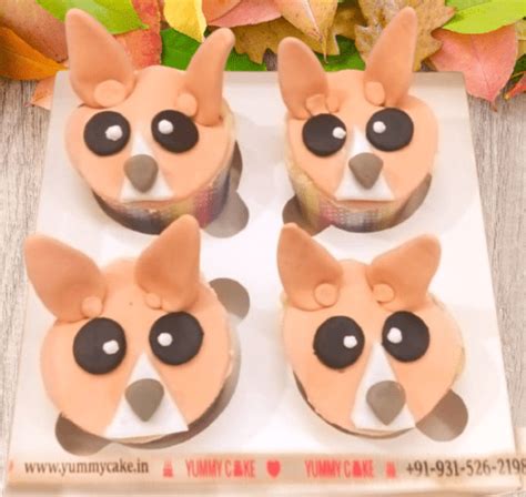 Order Corgi Face Cupcakes [Set of 4 & 6] | Yummycake