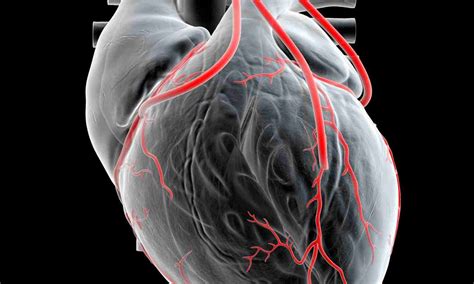 Multi-arterial CABG tied to superior long-term survival compared to ...