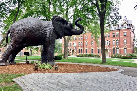 Tufts University - Acceptance Rate, Deadlines & Admission Info