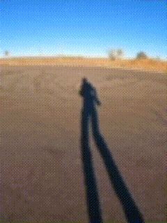 R6 Dance Script Pastebin 的图像结果