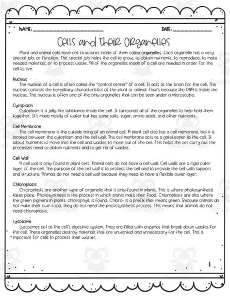 Worksheets Human Cell Structure 的图像结果