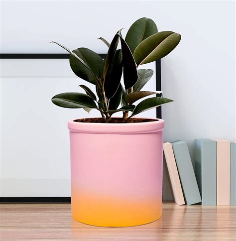 Lasaki Gloria 2t ps Ceramic Pots for Indoor Plants, Planters, Flower ...