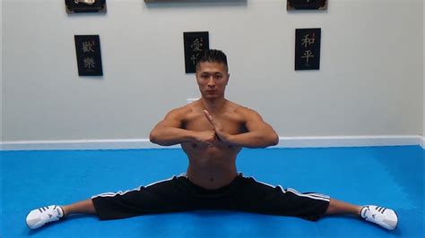 Beginner Middle Splits Tutorial 的图像结果
