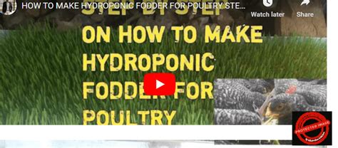 Image result for Fodder Making
