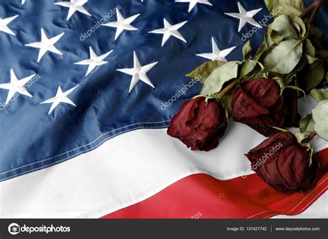 American National Flower