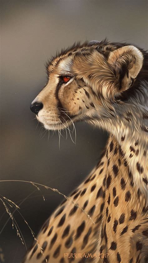 Download wallpaper 1080x1920 lynx, predator, art, big cat, wildlife ...