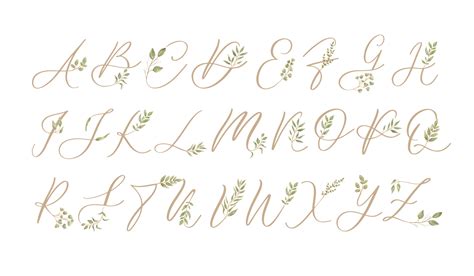 Fancy Calligraphy Fonts Alphabet
