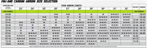 Image result for Compound Bow Arrow Chart