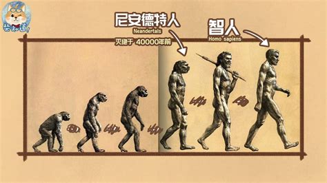 被错误解读最多的“人类进化图” - 知乎