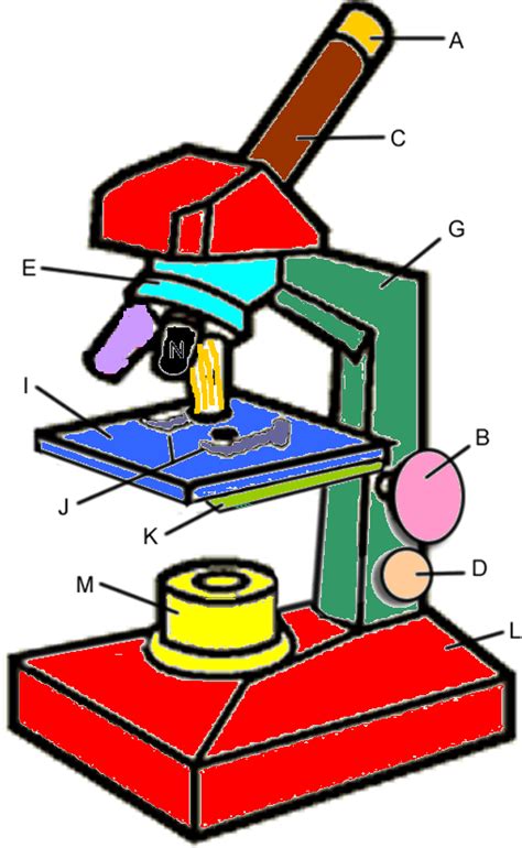 Image result for Microscope Basic Drawing