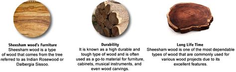 WOODLAB Furniture Solid Sheesham Wood Queen Size Bed for Bedroom 4 ...