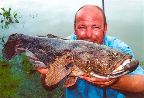 International Fishing News: VIDEO: More Weird and Scary World Records Fish