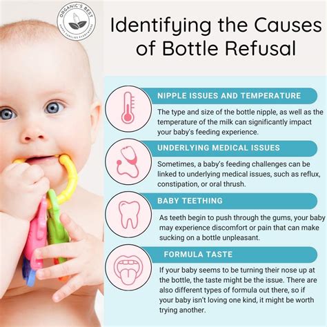 Baby Refusing Bottle: What to Do If Baby Won't Drink Formula
