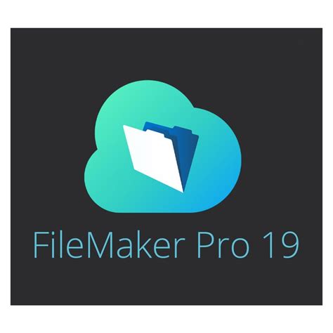 FileMaker Pro 19 Tutorial 的图像结果