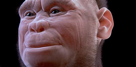 How Humans Reproduce Real 的图像结果