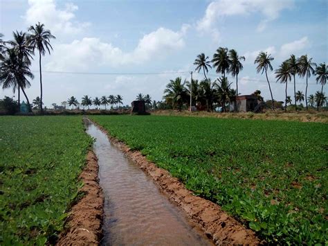 ‘A dry future powered by the sun’: Solar water pumps are draining India ...
