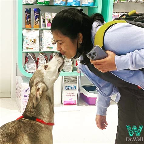 Dr Well Veterinary Clinic - PETWITHIT