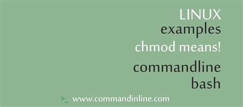 Chmod Command 的图像结果