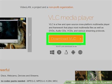 Image result for How to Open MP4 1 File