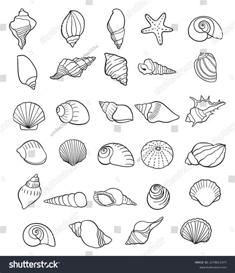 Image result for Shell Drawing Sheet