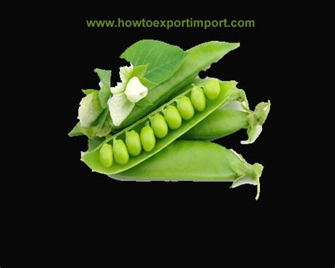 GST rate for sale of Fresh Vegetables in India